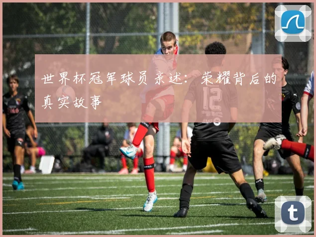 世界杯冠军球员亲述:荣耀背后的真实故事