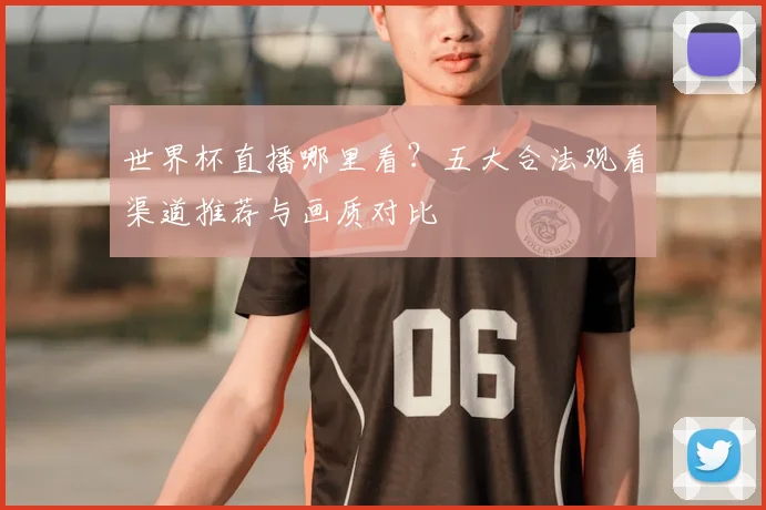世界杯直播哪里看？五大合法观看渠道推荐与画质对比