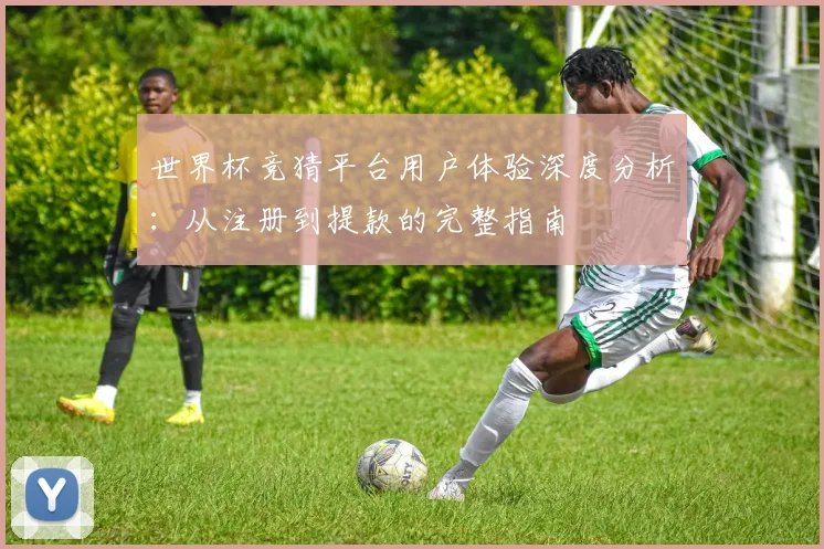 世界杯竞猜平台用户体验深度分析：从注册到提款的完整指南