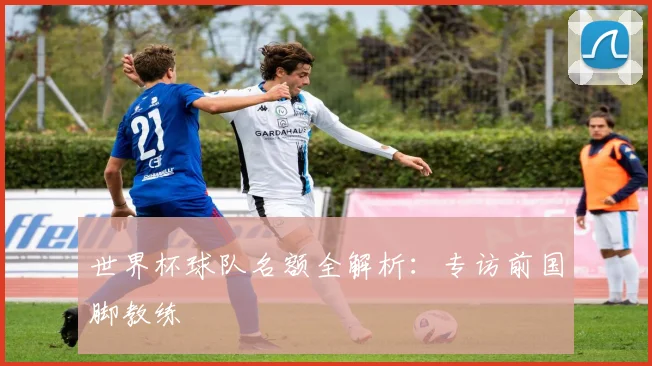 世界杯球队名额全解析：专访前国脚教练