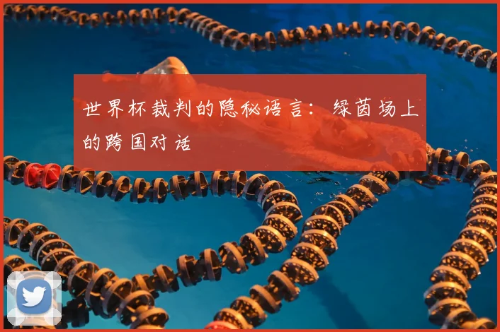 世界杯裁判的隐秘语言：绿茵场上的跨国对话