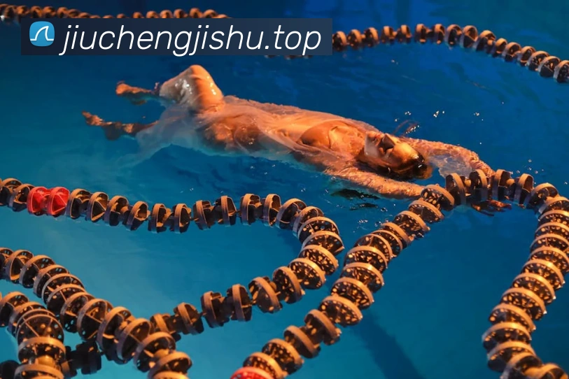 mksports官方app官网入口APP 封面图